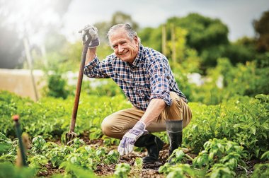 Cuidar la salud de las articulaciones a partir de los 50 años