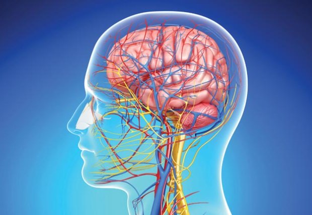 Serious Information About Severe Strokes