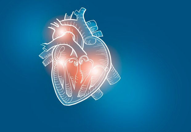 heart graphic on a blue background